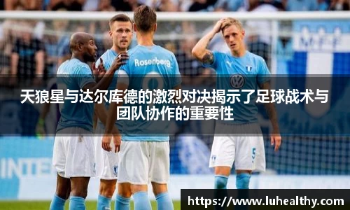 天狼星与达尔库德的激烈对决揭示了足球战术与团队协作的重要性