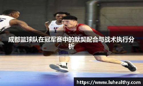成都篮球队在冠军赛中的默契配合与战术执行分析