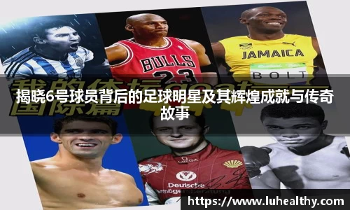 揭晓6号球员背后的足球明星及其辉煌成就与传奇故事